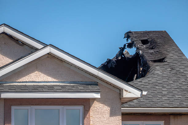 Top rated local Fire Damage Removal specialists in Harmans, MD